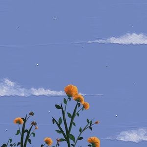 Meet your Posher, Avril